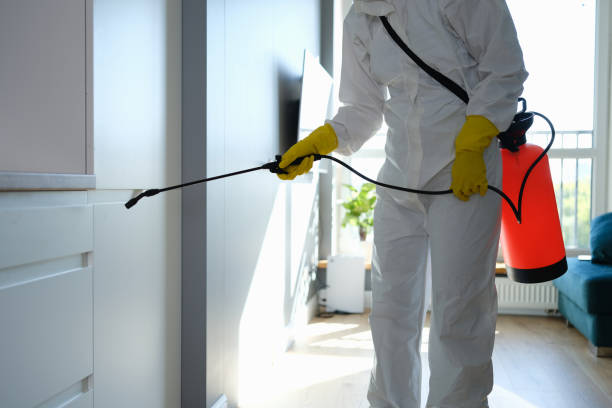 Mold Removal and Inspection in Waterbury, CT