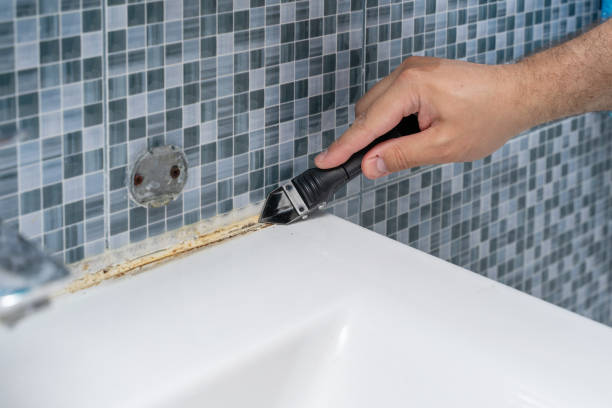  Waterbury, CT Mold Removal Pros